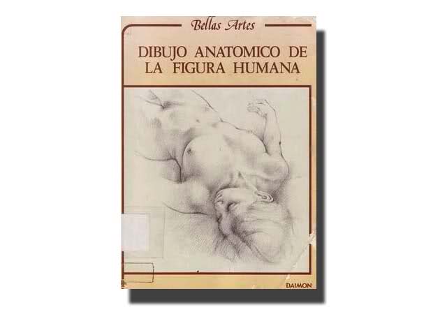 dibujo anatomico la figura humana
